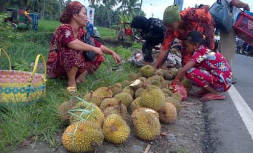 Pasar Lama Panyabungan Ramai Pedagang Durian